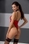 Розкішне боді AKITA BODY red - Passion 0