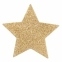 Прикраса на соски Bijoux Indiscrets - Flash Star Gold 2
