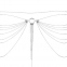 Прикраса Bijoux Indiscrets Magnifique Waist Chain - silver 6
