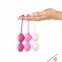 Набір вагінальних кульок для просунутих FeelzToys - FemmeFit Advanced Pelvic Muscle Training Set (SO5067) 0