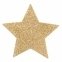 Прикраса на соски Bijoux Indiscrets - Flash Star Gold 2
