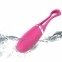 Віброяйце Dorcel Secret Delight Magenta 0