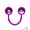 Вагінальні кульки Pretty Love Kegel Ball III Purple (6603BI1155) 1