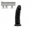 Фалоімітатор Silexd Robby Black (Premium Silicone Dildo MODEL 2 size 6