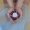 Набір Bijoux Indiscrets HOROSCOPE - Libra (Терези) 11