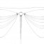 Прикраса Bijoux Indiscrets Magnifique Waist Chain - silver 6
