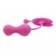 Вагінальні кульки Magic Motion Kegel Gen2 4