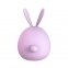 Вакуумний стимулятор із вібрацією KissToy Miss KK, Purple (SO3760) 1