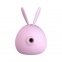 Вакуумний стимулятор із вібрацією KissToy Miss KK, Purple (SO3760) 0