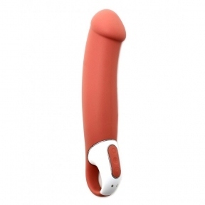 Вібратор Satisfyer Vibes Master, 23,5х4,6 см