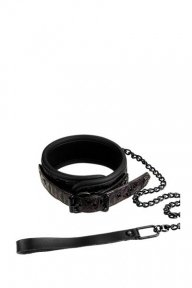 Нашийник з повідцем BLAZE COLLAR AND LEASH PURPLE (DT21271)