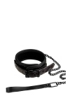 Нашийник з повідцем BLAZE COLLAR AND LEASH PURPLE (DT21271)