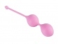 Вагінальні кульки Femintimate Kegel Balls