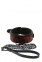 Нашийник з поводком BLAZE DELUXE COLLAR & LEASH (DT21534)
