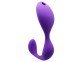 Вібратор Adrien Lastic Mr.Hook з пультом LRS