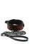 Нашийник з поводком BLAZE DELUXE COLLAR & LEASH (DT21534)